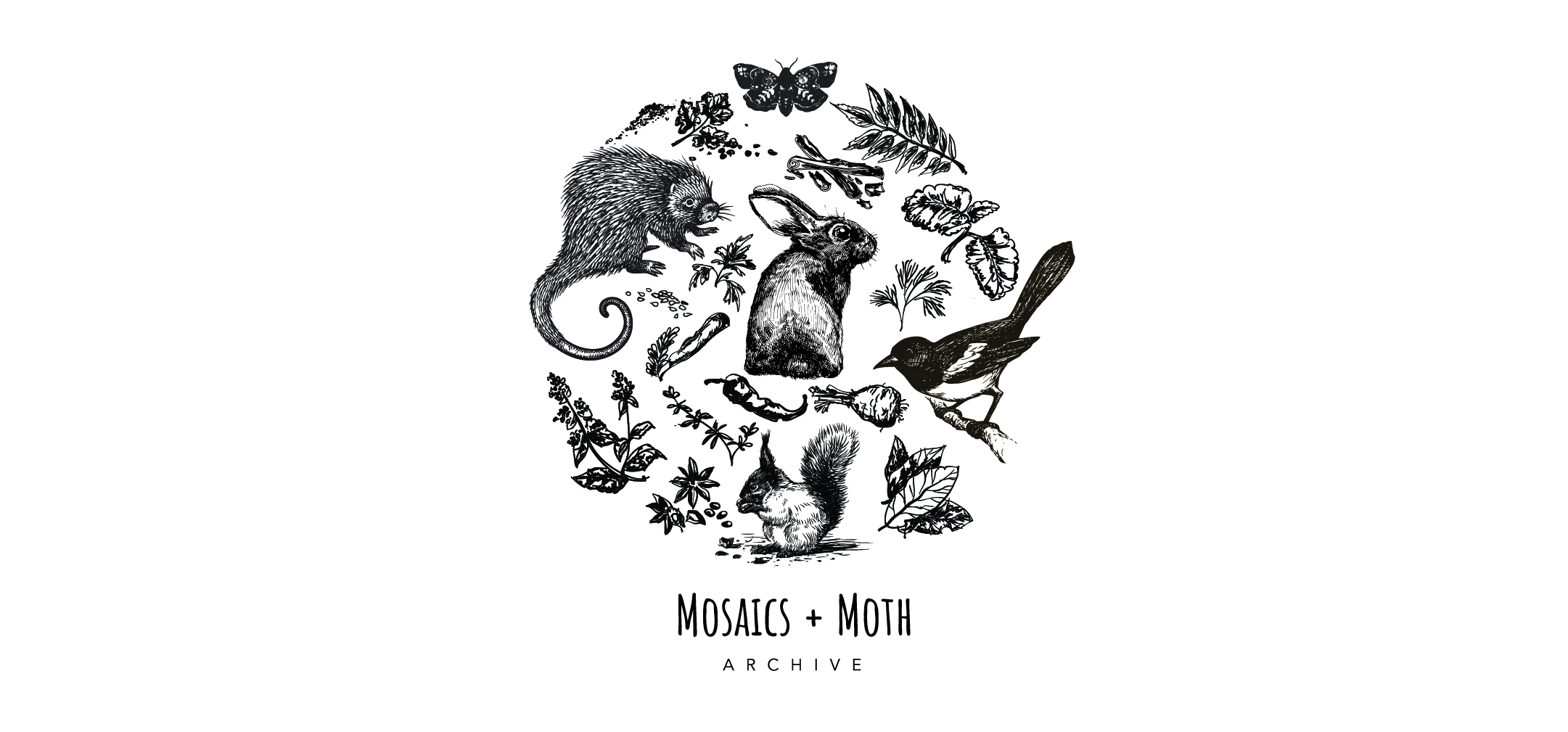 Mosaics + Moth Archive